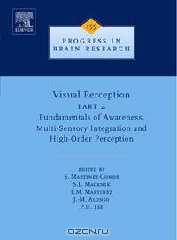 Visual Perception Part 2,155