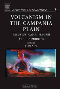 Volcanism in the Campania Plain,9