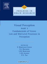 Visual Perception Part 1,154