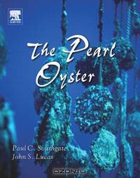 The Pearl Oyster