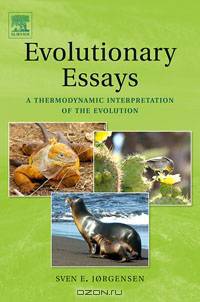 Evolutionary Essays:
