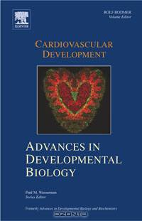 Cardiovascular Development,18