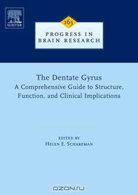 The Dentate Gyrus: A Comprehensive Guide to Structure, Function, and Clinical Implications,163