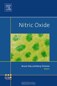Nitric Oxide,1
