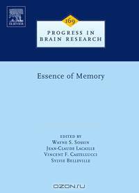Essence of Memory,169