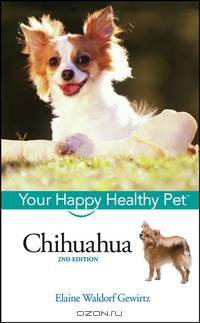 Chihuahua