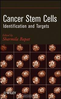Cancer Stem Cells