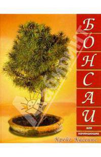 Бонсаи для начинающих