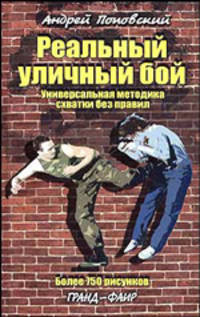 Реальный уличный бой. Универсальная методика схватки без правил