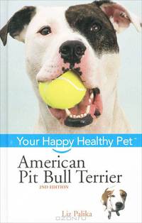 American Pit Bull Terrier