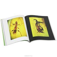 An Inordinate Fondness for Beetles