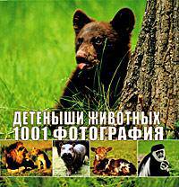 Детеныши животных. 1001 фотография