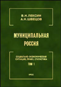 Муниципальная Россия: Социально-экономическая ситуация, право, статистика (энциклопедический справочник). Том 1