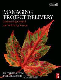 Managing Project Delivery: Maintaining Control and Achieving Success