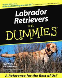 Labrador Retrievers for Dummies