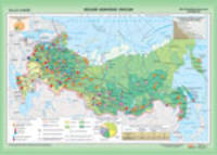 Лесной комплекс России / Поволжье. Социально-экономическая карта. Плакат