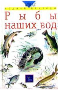Рыбы наших вод