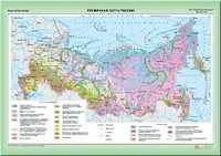 Наглядное пособие. Почвенная карта России