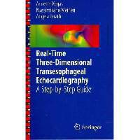 Real-Time Three-Dimensional Transesophageal Echocardiography: A Step-by-Step Guide