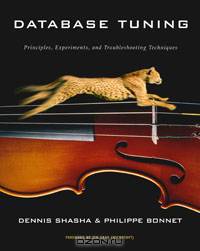 Database Tuning