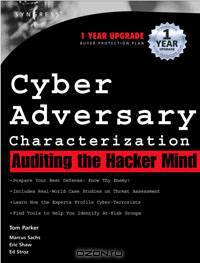 Cyber Adversary Characterization
