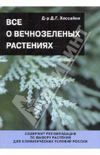 Все о вечнозеленых растениях