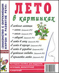 Лето в картинках. Наглядное пособие