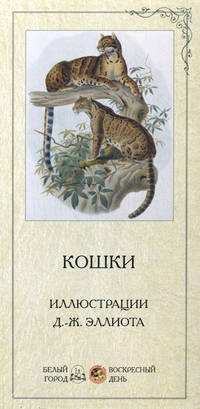 Кошки. Иллюстрации Д.-Ж. Эллиота