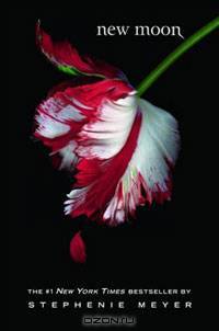 New Moon