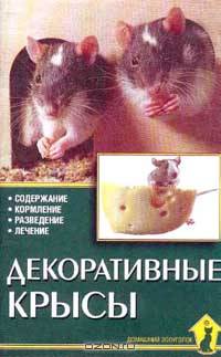 Декоративные крысы