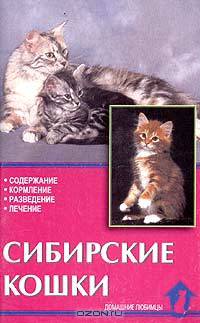 Сибирские кошки. Стандарты. Содержание. Разведение. Профилактика заболеваний