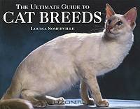 The Ultimate Guide to Cat Breeds