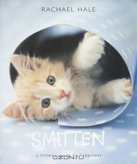 Smitten: A Kitten