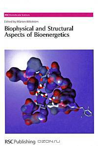 Biophysical and Structural Aspects of Bioenergetics