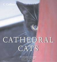 Cathedral Cats