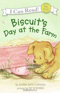 Biscuit