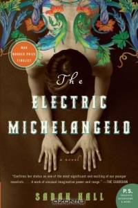 The Electric Michelangelo (P.S.)