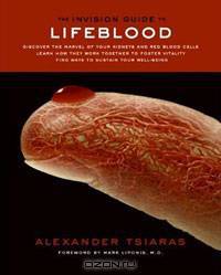 InVision Guide to Lifeblood