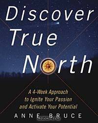 Discover True North : A Program to Ignite Your Passion and Activate Your Potential
