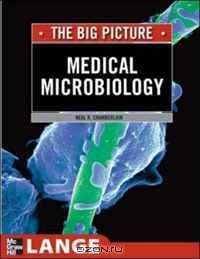 Medical Microbiology & Immunology: The Big Picture (LANGE The Big Picture)