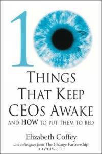 10 Things That Keep Ceos Awake: An How to Put Them to Bed