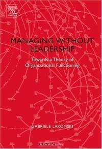 Managing without Leadership : Towards a Theory of Organizational Functioning