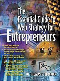 The Essential Guide to Web Strategy for Entrepreneurs
