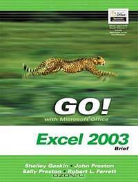 GO Series : Microsoft Excel 2003 Volume 2