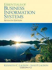 Essentials of Business Information Systems