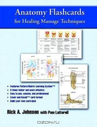Anatomy Flashcards for Healing Massage Techniques