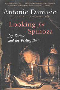 Looking for Spinoza: Joy, Sorrow, and the Feeling Brain