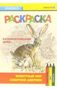 Калифорнийский заяц. Живой мир Америки