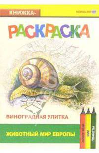 Виноградная улитка. Живой мир Европы