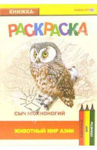 Сыч мохноногий. Животный мир Азии